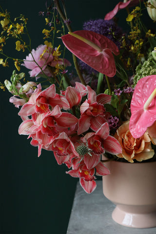 Botanical Rhythm