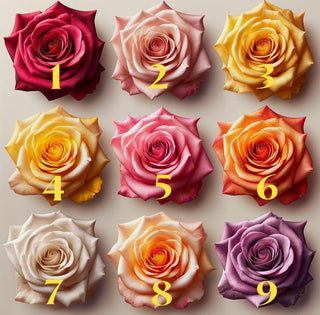 Timeless Rose Elegance