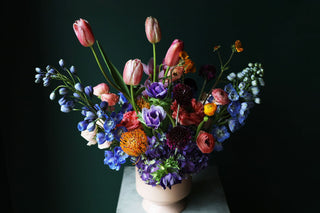 Muse de la Botanique